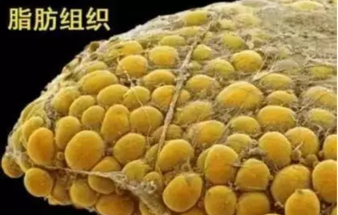 1574418502204834.png 屏幕快照 2019-11-22 下午6.28.03.png